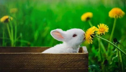 中国U23男足挺进决赛,京沪深蓉穗球迷订影音房热度高涨